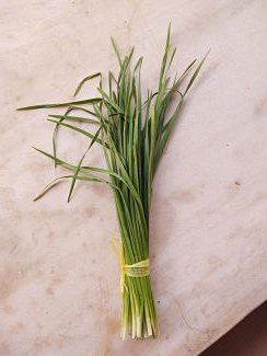 Cebollina (manojo)