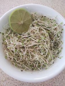 Germinado de alfalfa (bolsita)