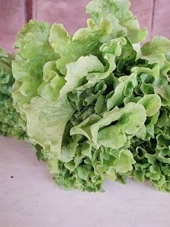 Lechuga local (pieza)