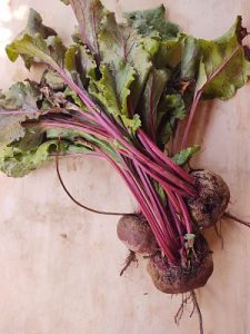 Remolacha sin hojas (2 pieza)