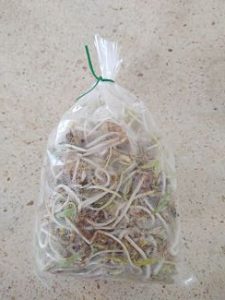 Germinado de frijol munjo (bolsita)