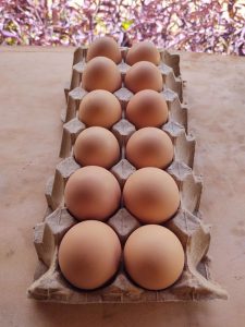 Huevo de patio (12 pz)