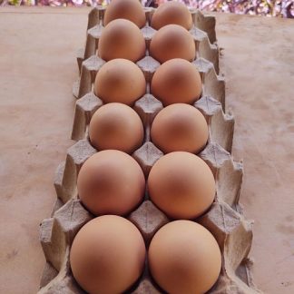 Huevo de patio (12 pz)
