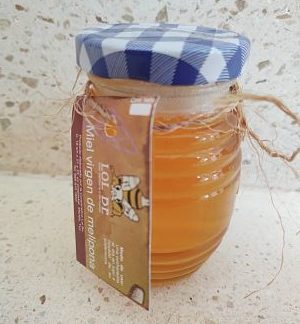 Miel melipona (180 ml)