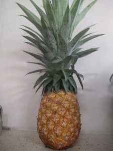 Piña (pieza)