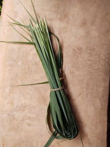 Zacate limon (manojo)