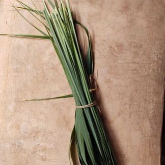 Zacate limon (manojo)