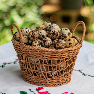 Huevo de codorniz (24 pz)