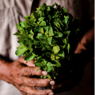 Hierbabuena (manojo)