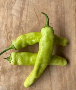 Chile Xcatik (3 piezas)