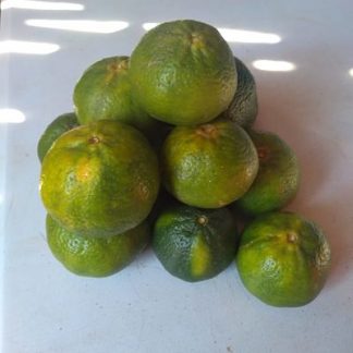 Mandarina local (kilo)