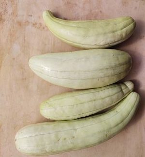 Pepino (2 piezas)
