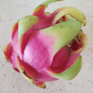 Pitahaya (piezas)