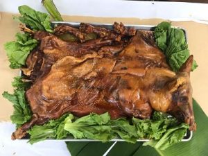 Cerdo pelón entero para hornear (9 kilos)