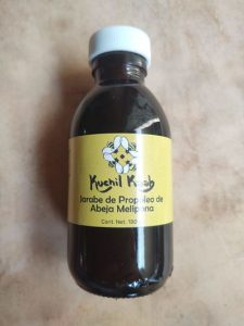 Multivitamínico de melipona (180g)