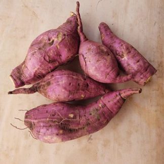 Camote morado (kilo)