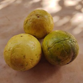 Maracuyá (2 piezas)