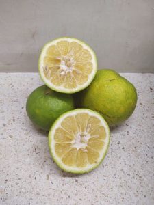 Naranja agria (kilo)