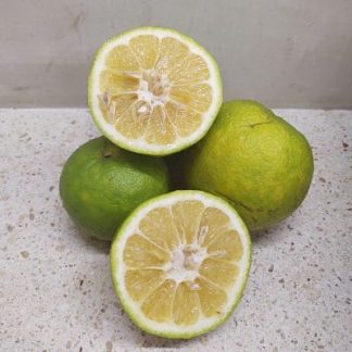 Naranja agria (kilo)