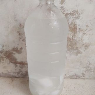 Agua de coco (1 litro)