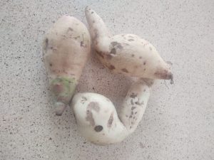 Camote blanco (kilo)