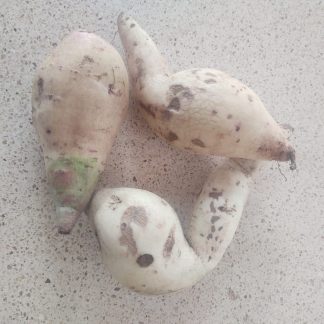 Camote blanco (kilo)