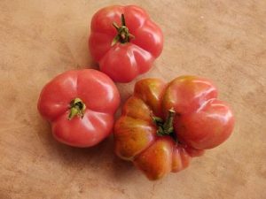 Tomate criollo agroecológico rosa pak (kilo)