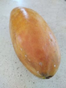 Papaya (pieza)