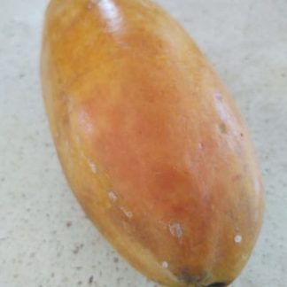 Papaya (pieza)