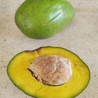 Aguacate local (pieza)