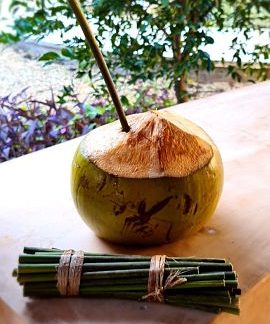 Popotes ecológicos (20 piezas)