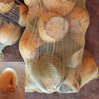 Huacal de cocos sin pelar (20 pz)